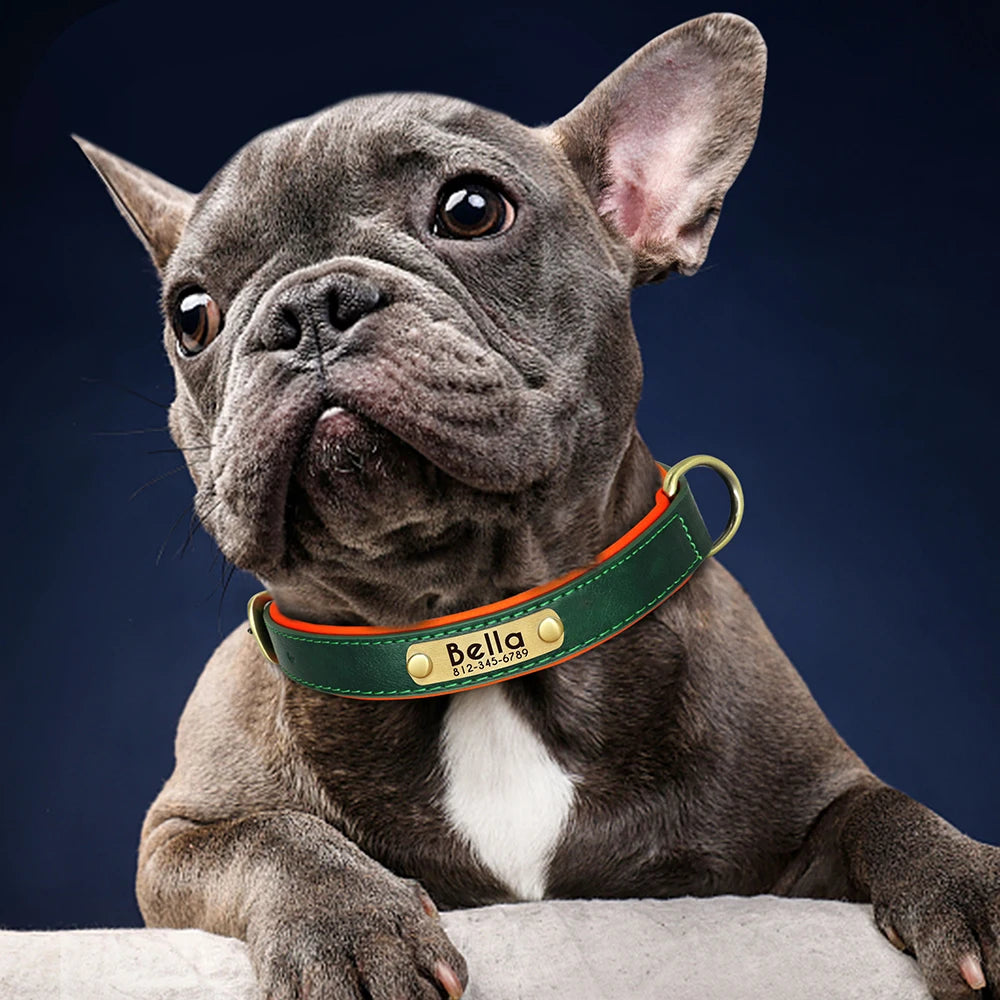 Personalized Dog Collar, Adjustable Padded PU Leather Collar