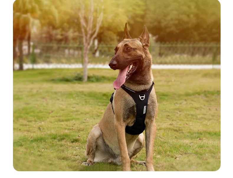 No Pull Dog Harness Adjustable Nylon Reflective Padded