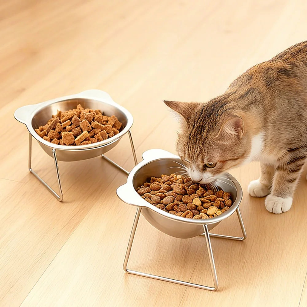 Elevated Pet Bowl – Stainless Steel Angled Dog & Cat Feeder