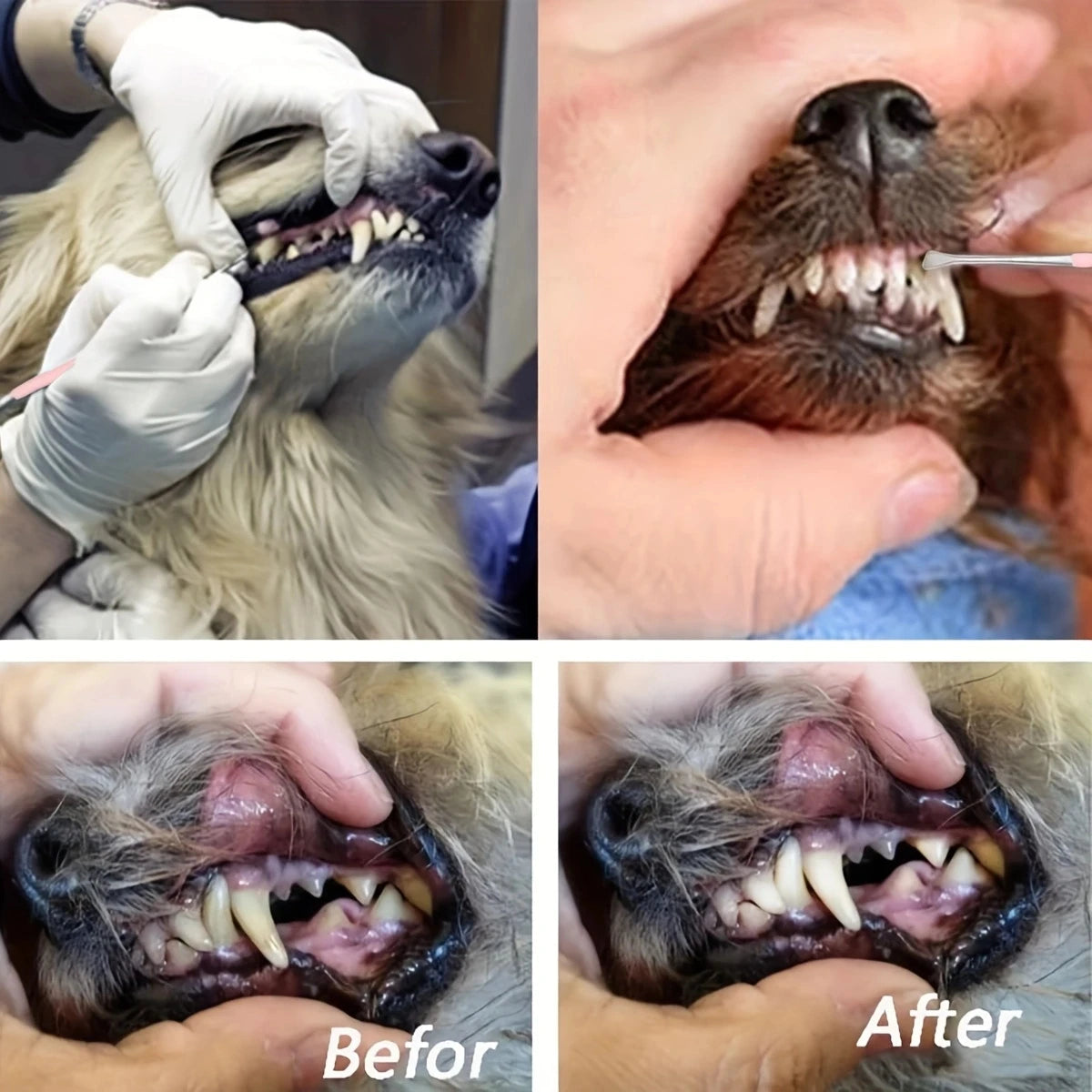 Dog Tartar Remover – Stainless Steel Double-Head Scraper