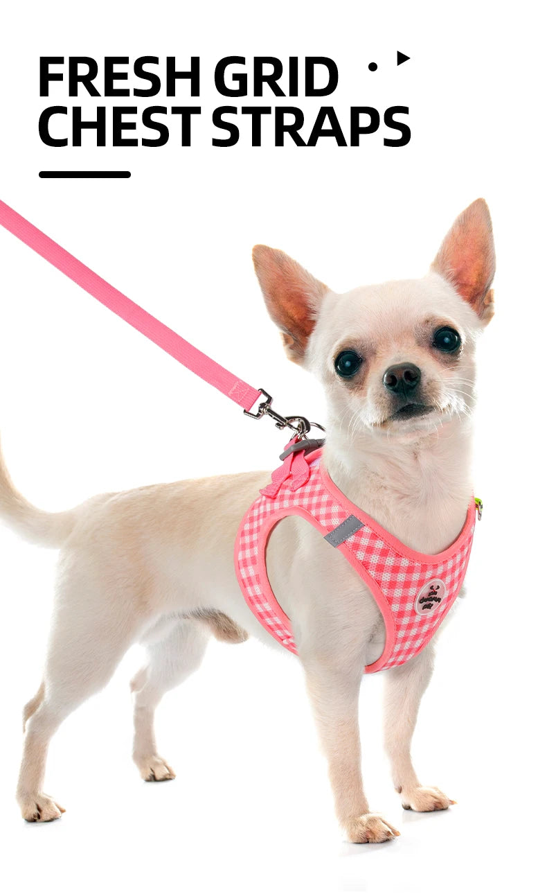 Reflective Cat Harness with Leash – Plaid Breathable Walking Kit