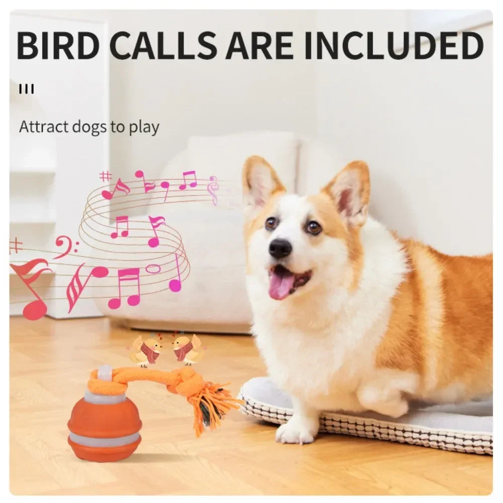 Interactive Dog Ball – Motion Activated Rolling Toy for Dogs