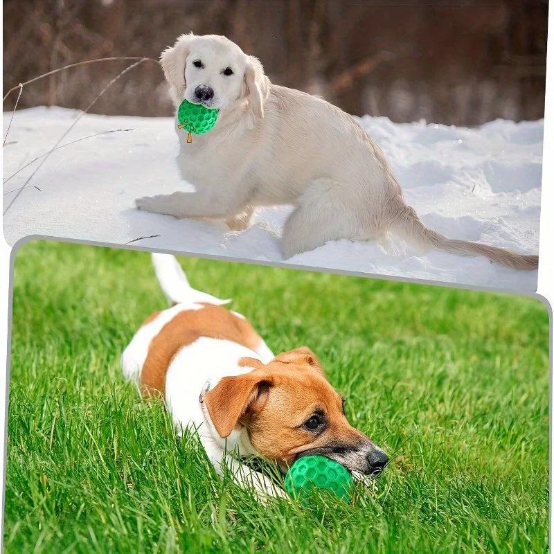 Rubber Dog Chew Toy – Squeaky Hexagonal Chew Ball