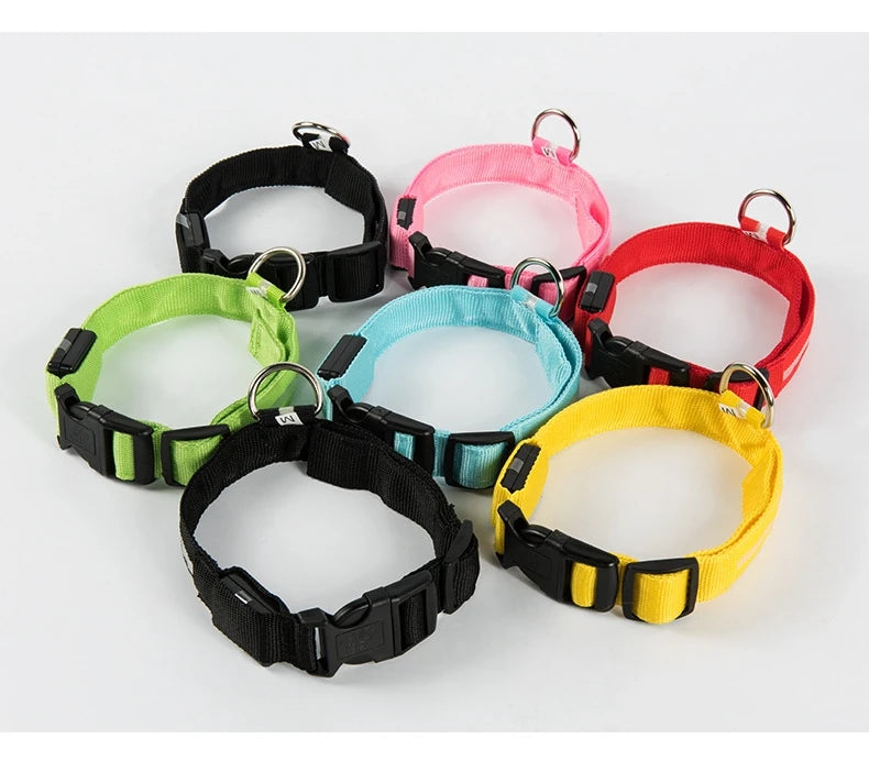 LED Dog Leash Nylon Light Up Glow Night Safety Collar