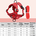 Cat Harness and Leash – Anti-Escape Reflective Kitten Harness