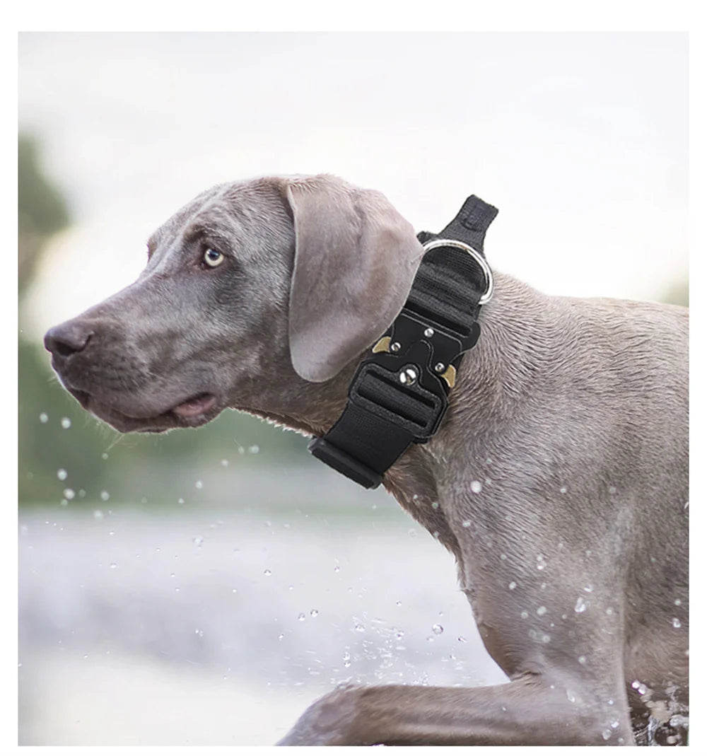 Tactical Dog Collar for Medium & Large Dogs, Padded Adjustable