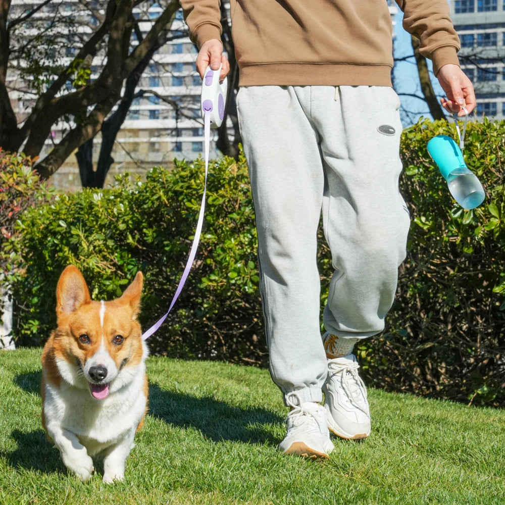 300ml - Portable Dog Water Bottle