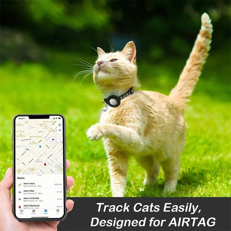 at Collar with AirTag Holder