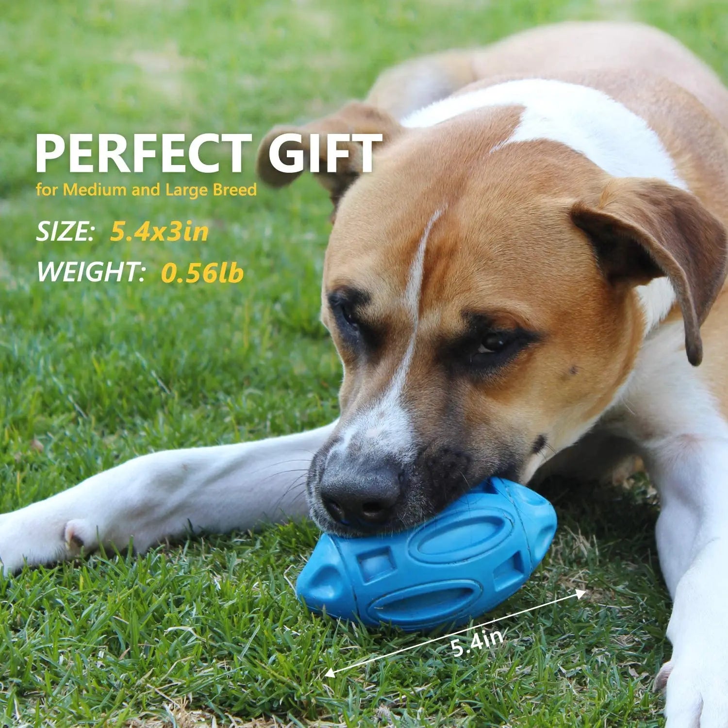 Rubber Dog Chew Ball – Squeaky Toy for Medium & Large Dogs