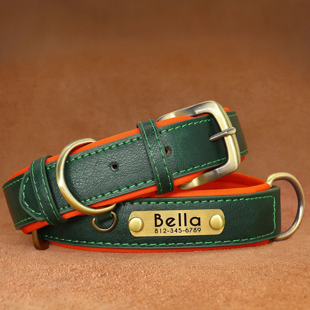 Personalized Dog Collar, Adjustable Padded PU Leather Collar