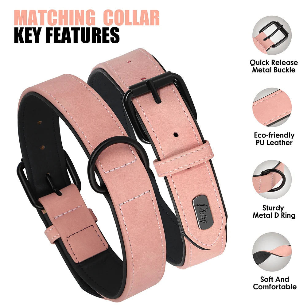 PU Leather Dog Collar and Leash Set, Adjustable Padded