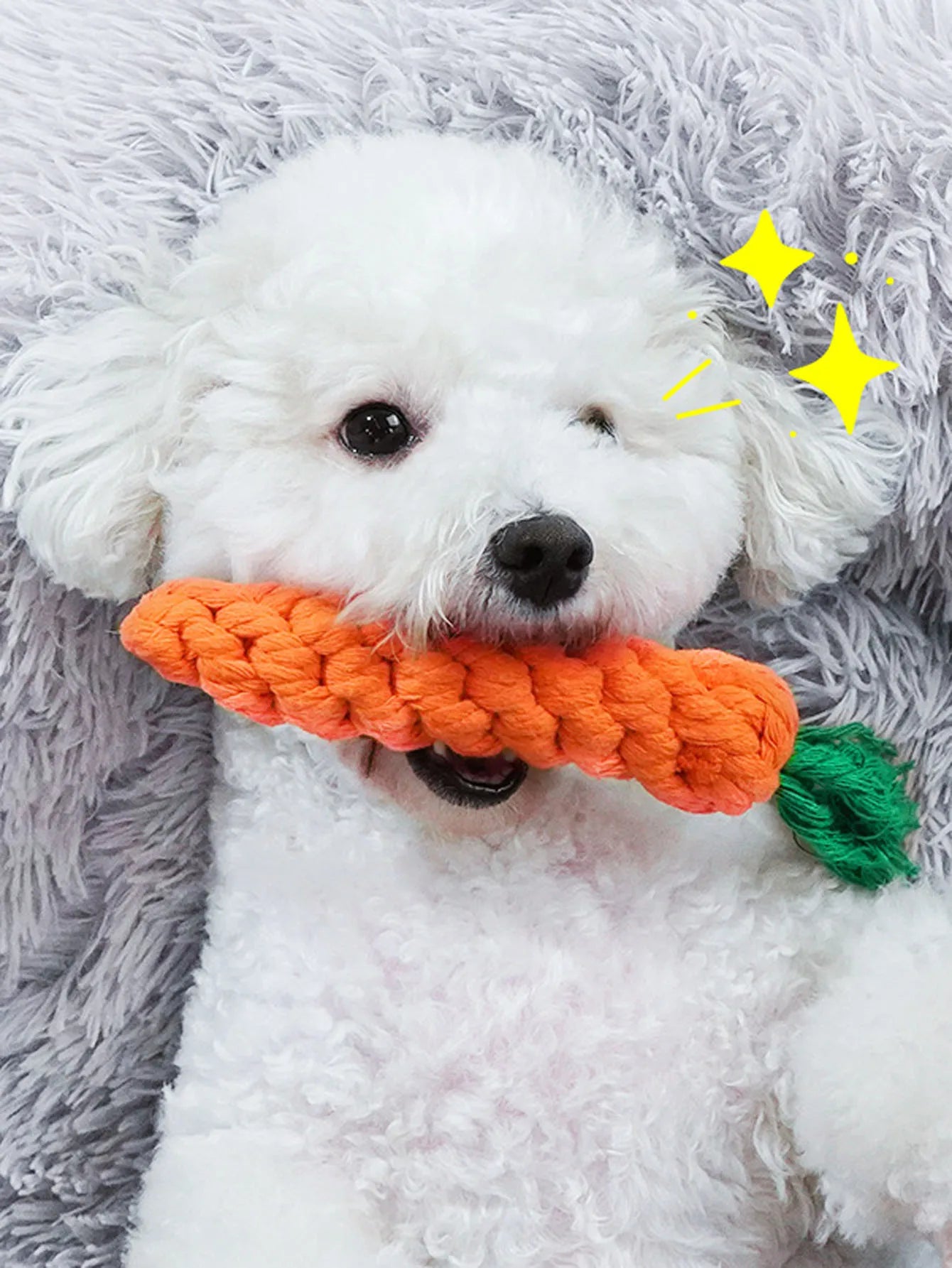Rope Dog Toy – Knotted Cotton Chew Toy for Small & Medium Dogs