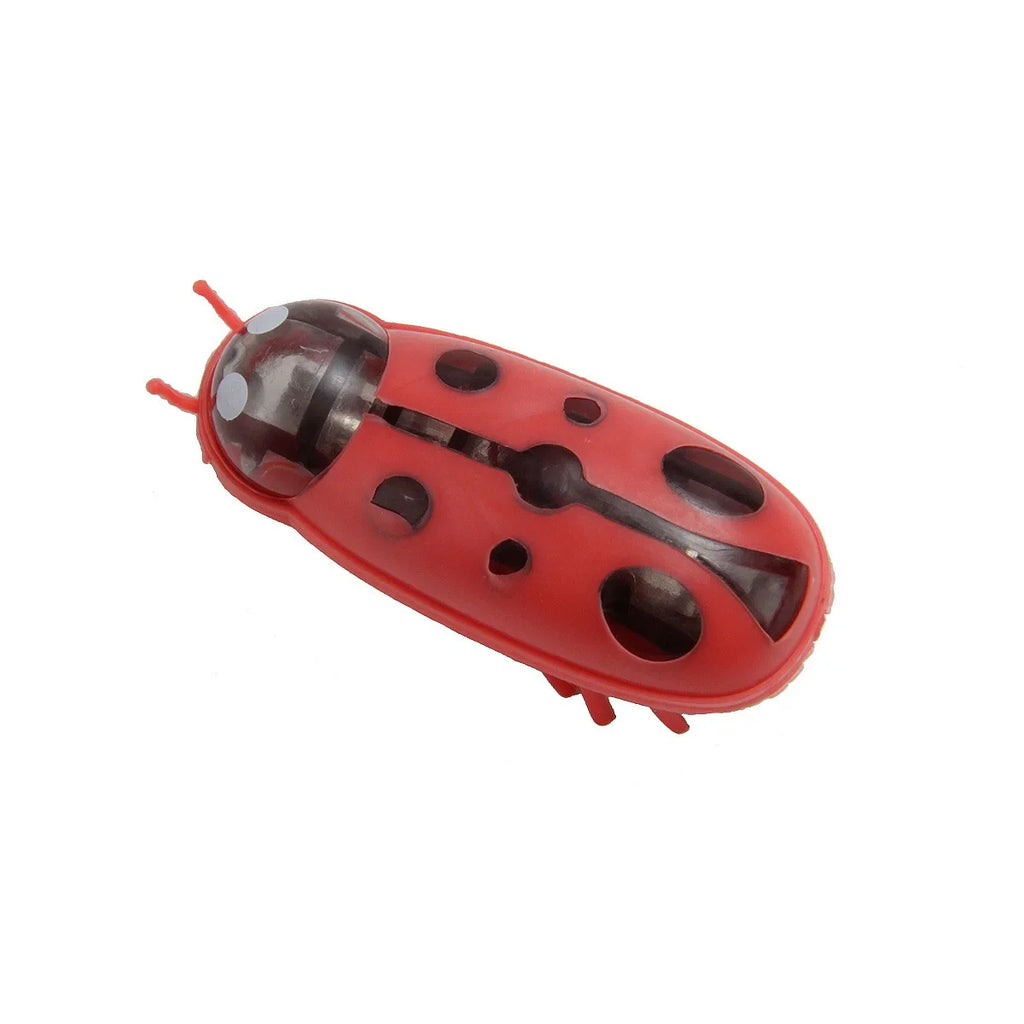 Interactive Cat Toy – Mini Electric Moving Bug Chase Toy