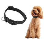 Reflective Dog Collar Adjustable Nylon Safety Collar for Small Dogs