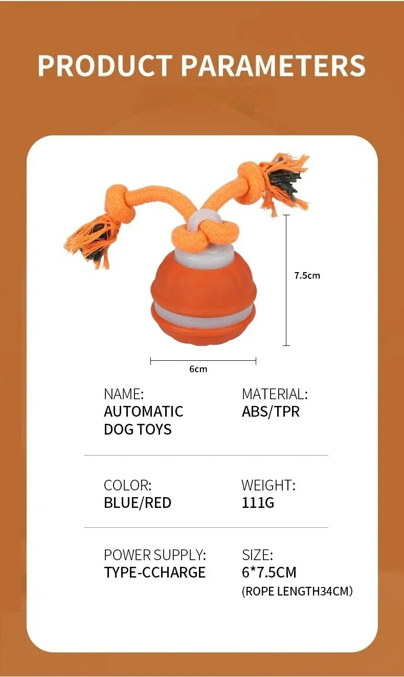 Interactive Dog Ball – Motion Activated Rolling Toy for Dogs