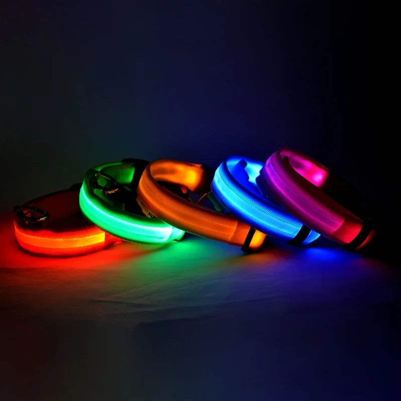 LED Dog Leash, Light-Up Nylon Safety Leash for Night Walking