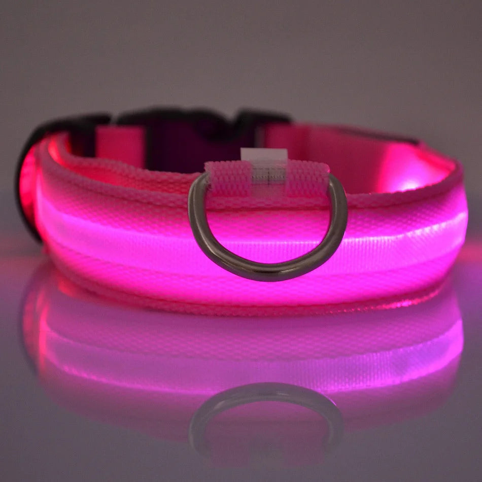 LED Dog Leash, Light-Up Nylon Safety Leash for Night Walking