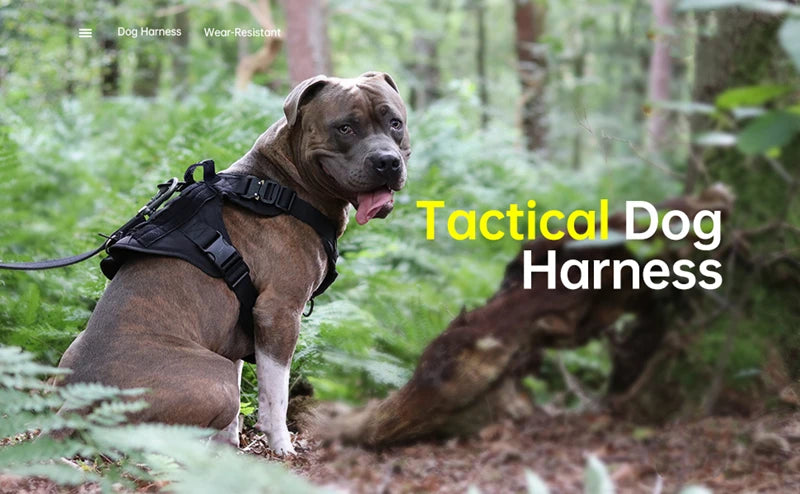 Tactical Dog Harness – 1000D Nylon Vest With Leash Set