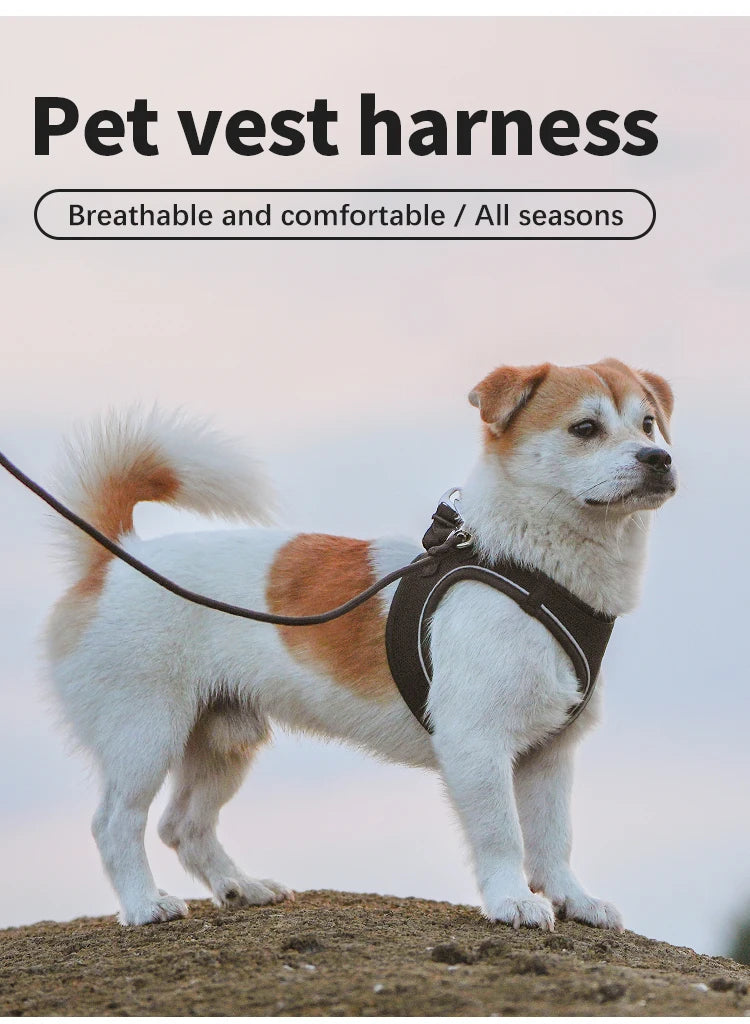 Cat Harness and Leash Set – Reflective Adjustable Vest