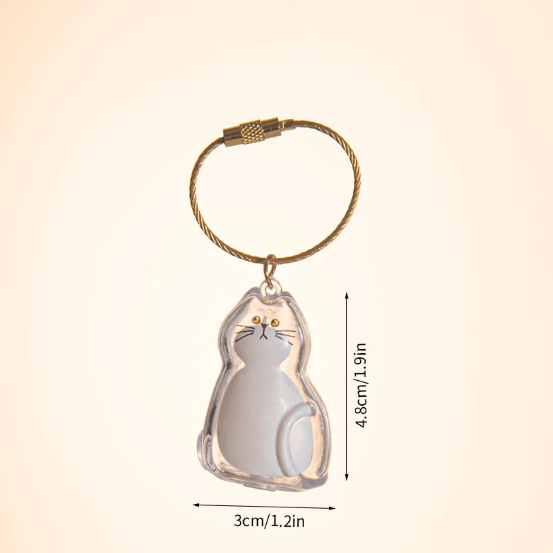 Cat Hair Memorial Keychain – Pet Fur Keepsake Storage Capsule