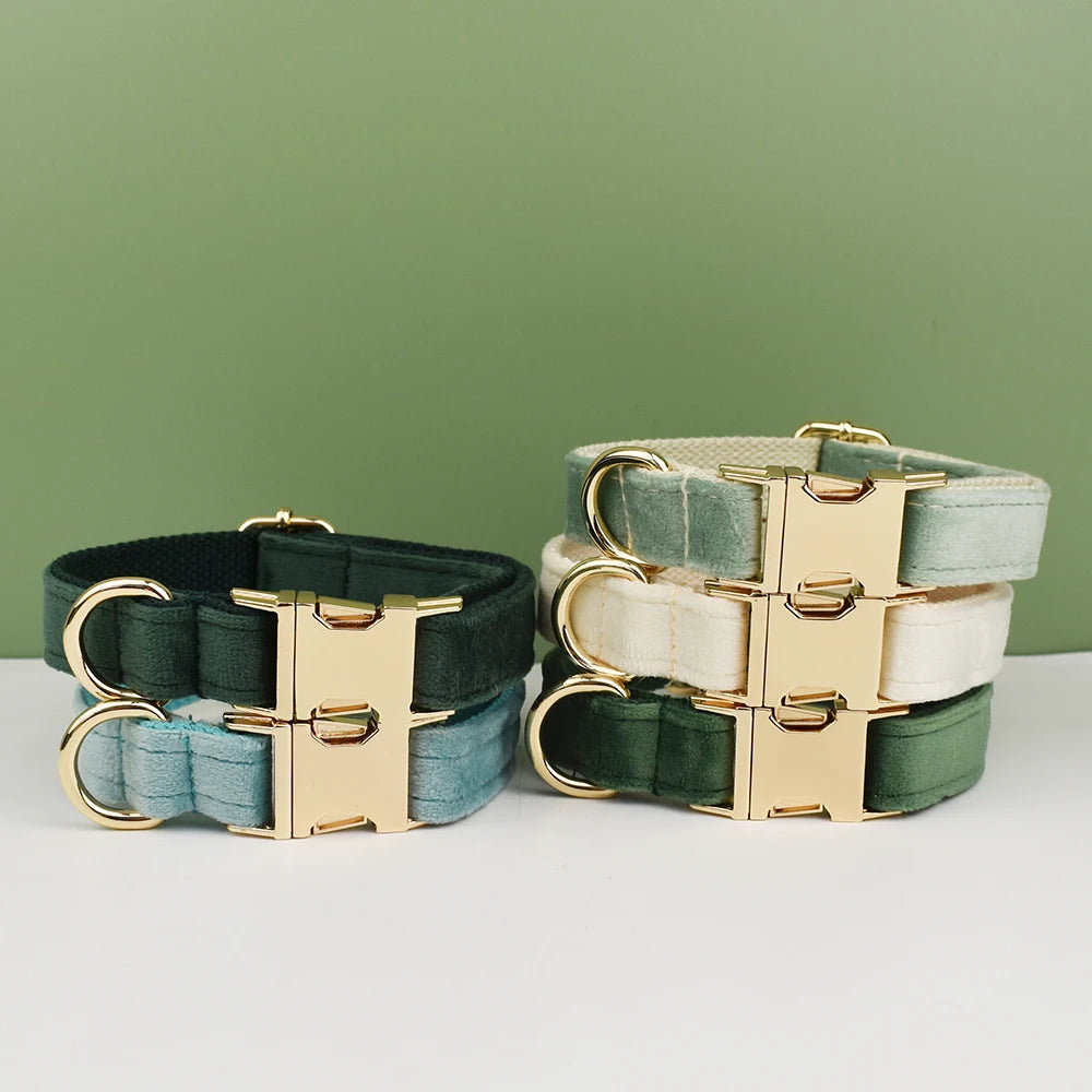 Dog Collar and Leash Set, Adjustable Velvet Collar with Gold Detail
