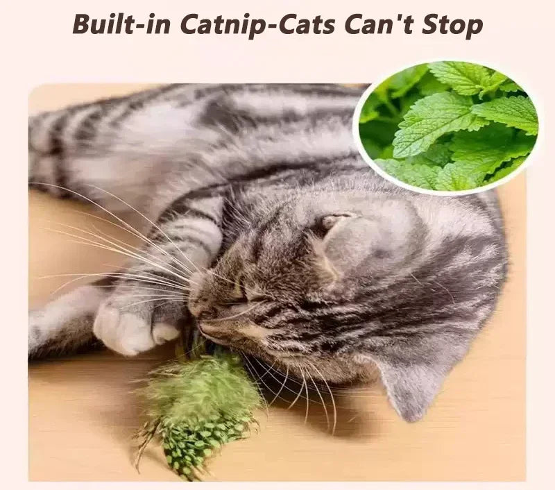 Interactive Bird Cat Toy – Plush Hanging Teaser Toy for Indoor Cats
