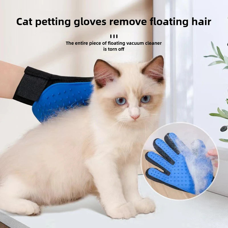 Cat Grooming