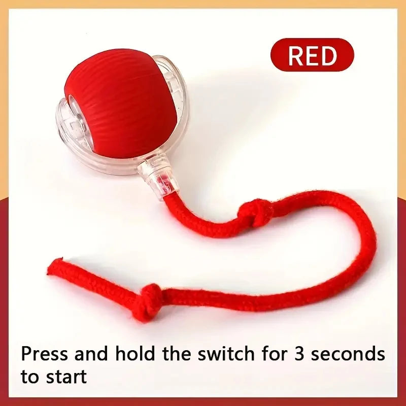 Interactive Cat Ball Toy – Rechargeable Automatic Rolling Toy