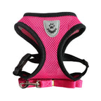 Cat Harness and Leash