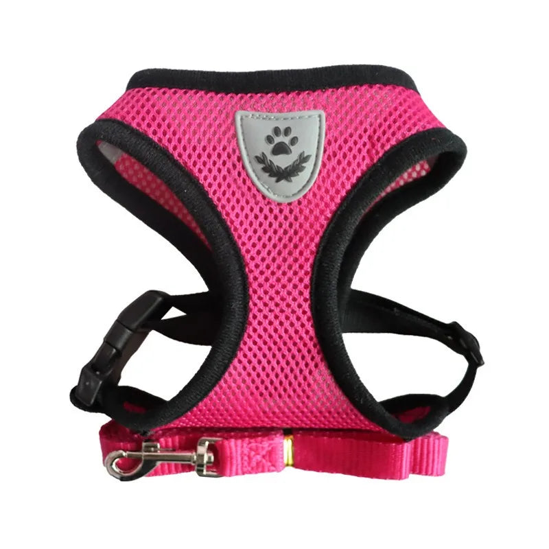 Cat Harness and Leash – Reflective Quick Release Walking Set