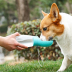 Portable Dog Water Bottle, Leakproof Pet Drinking Dispenser