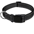 Adjustable Dog Collar – Soft Padded Nylon Quick Release