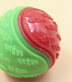 Interactive Dog Toy – Squeaky Ball for Teeth Cleaning