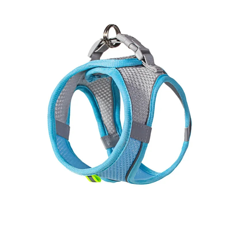 A comfortable, adjustable harness with reflective detailing for everyday pet walks.
