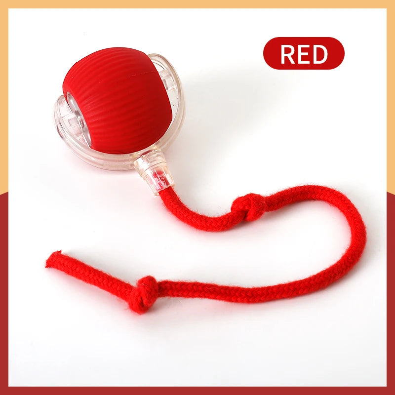 Automatic Cat Ball Toy – Rechargeable Interactive Rolling Ball