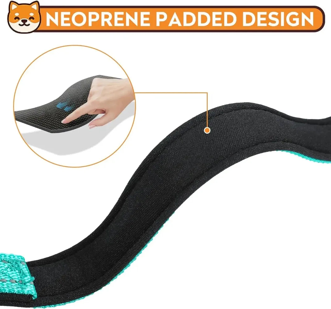Adjustable Dog Collar – Soft Padded Nylon Quick Release