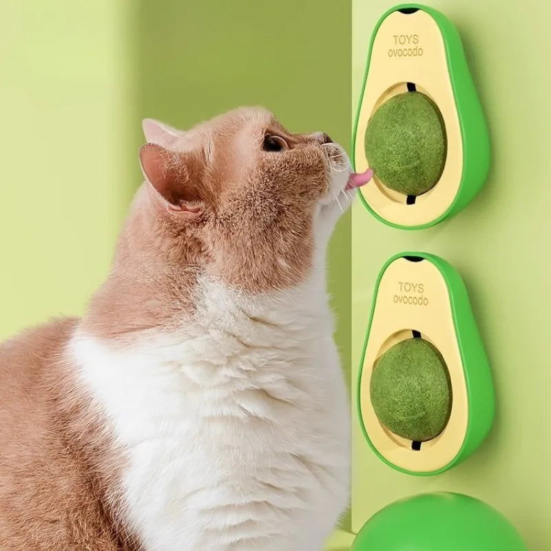 Catnip Ball Cat Toy – Teeth Cleaning & Interactive Dental Toy