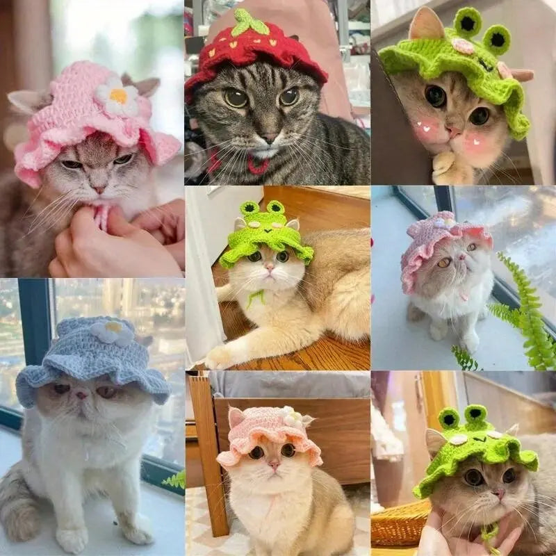 Cat Knitted Hat – Cute Winter Pet Accessory