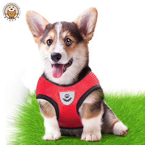 Adjustable Dog Harness Vest, Mesh Puppy Walking Harness