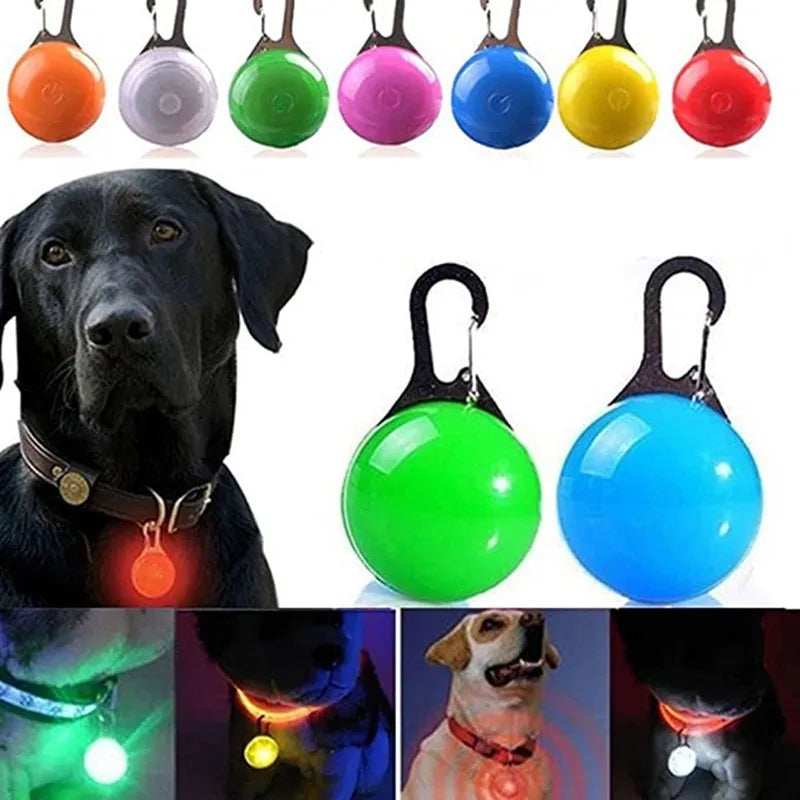 LED Dog Collar Light – Colorful Flashing Pet Safety Light