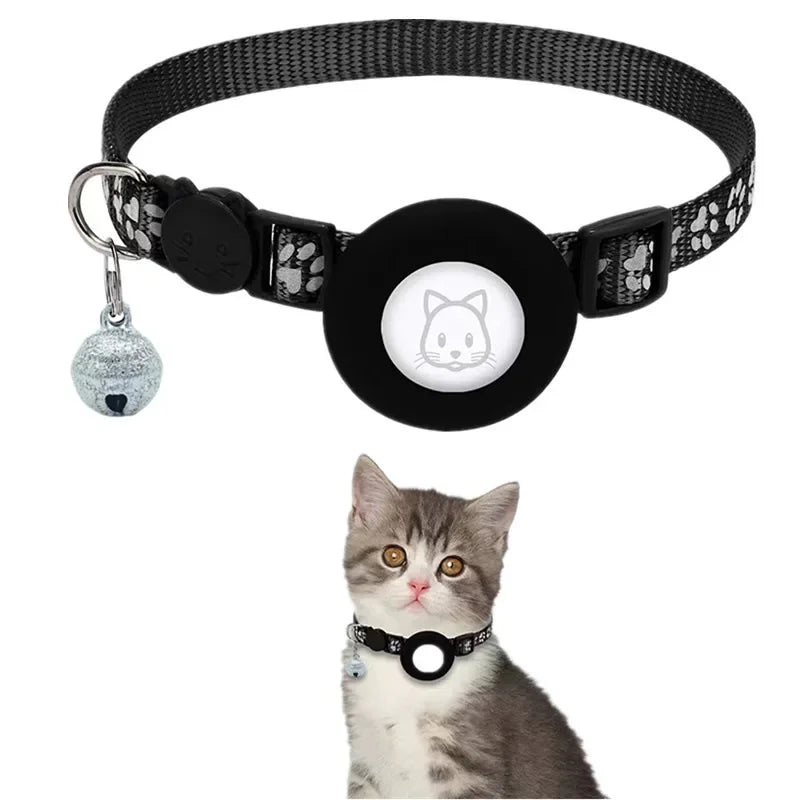 at Collar with AirTag Holder