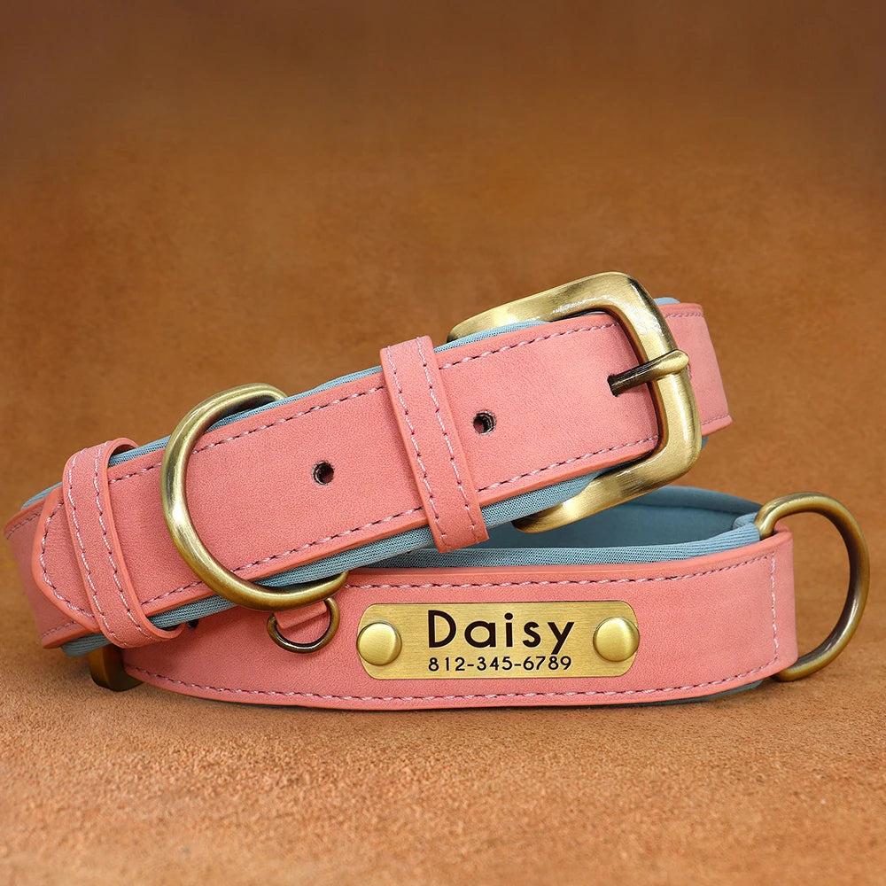Personalized Dog Collar, Adjustable Padded PU Leather Collar