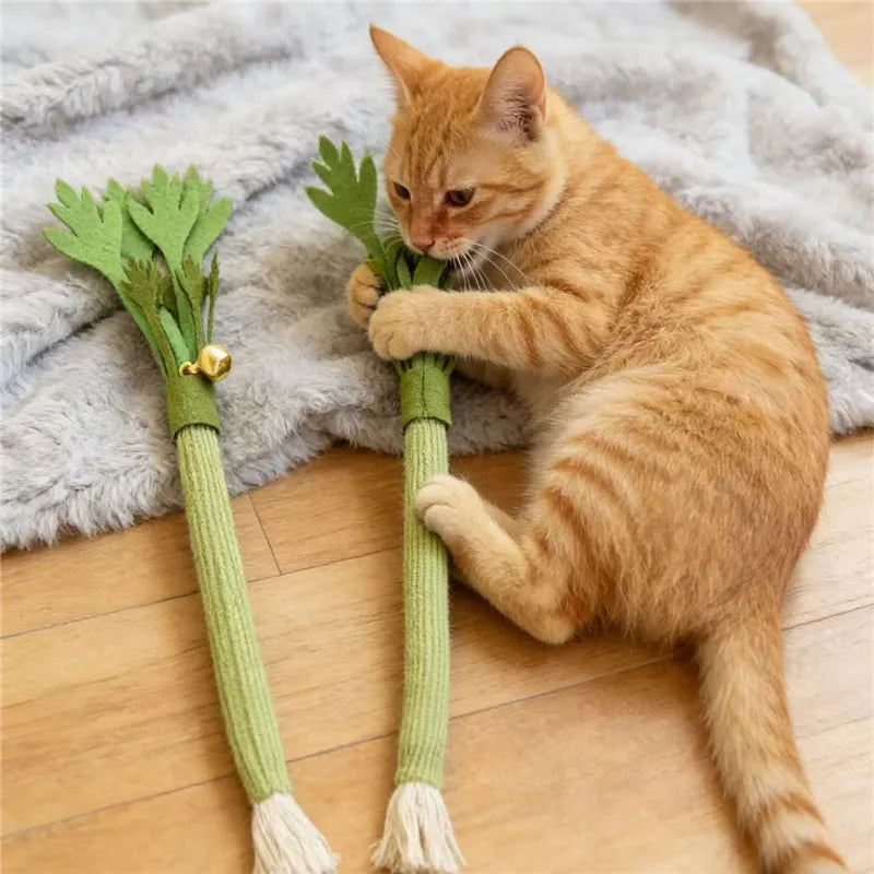 Catnip Chew Toy – Cat Dental Molar Stick with Squeaky Design