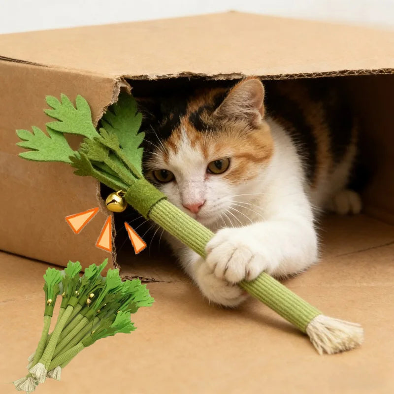 Catnip Chew Toy – Cat Dental Molar Stick with Squeaky Design