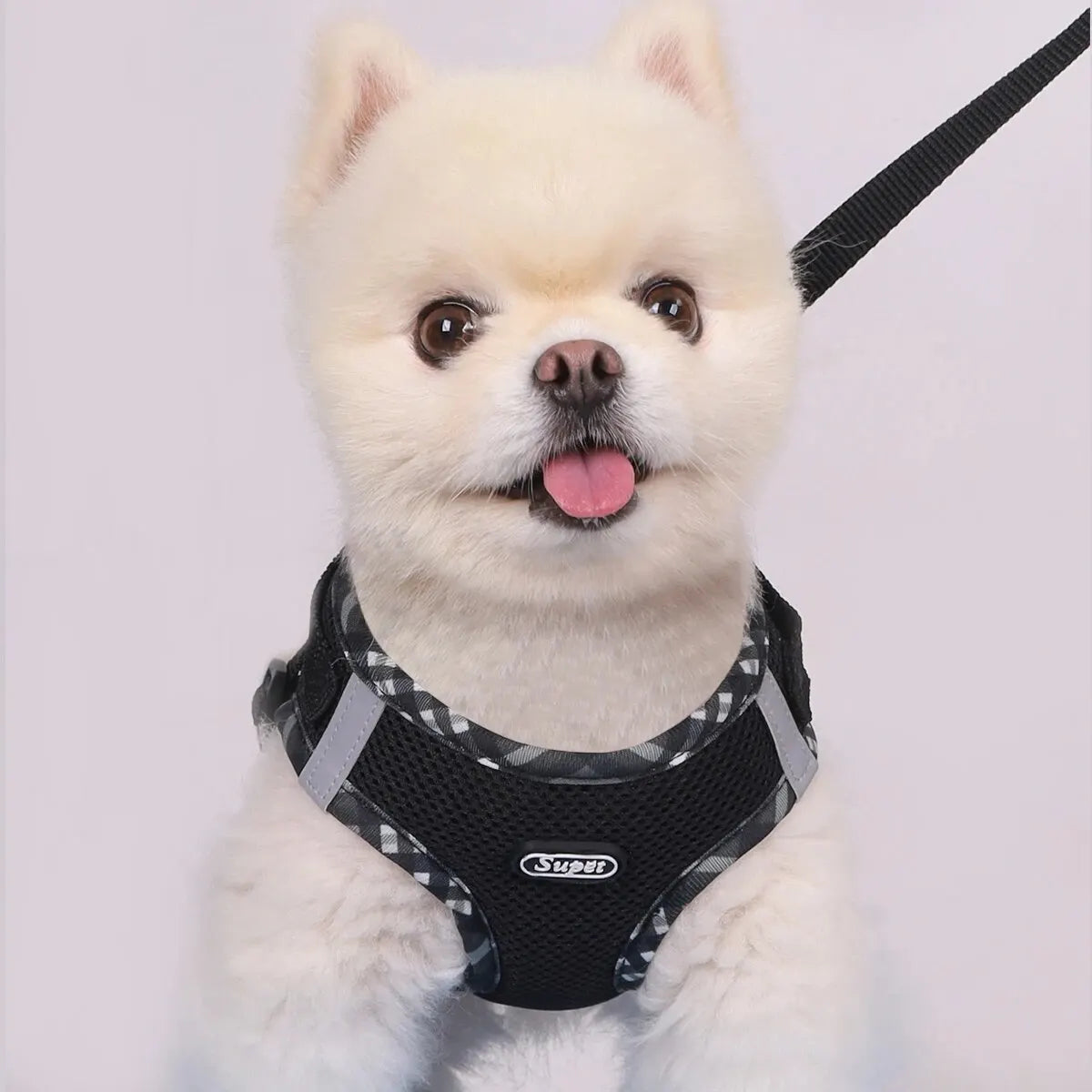 Dog Harness – Adjustable Anti-Pull Harness for Small & Medium Dogs