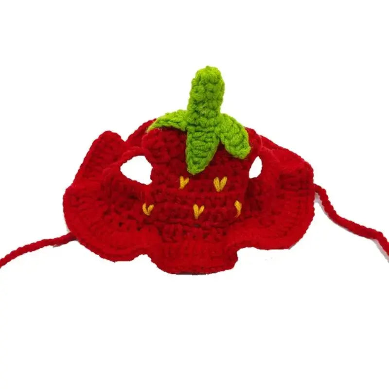 Cat Knitted Hat – Cute Winter Pet Accessory