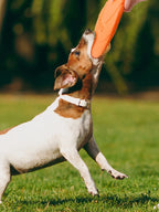 Dog Flying Disc, Soft Rubber Outdoor Toy for Training and Fetch