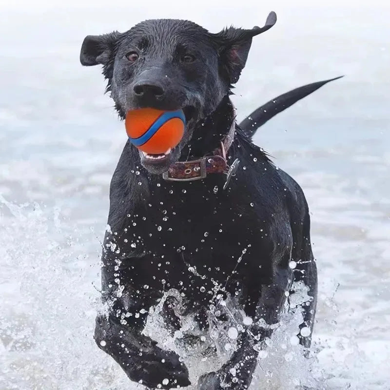 Rubber Dog Ball – Fetch, Chew & Jumping Toy