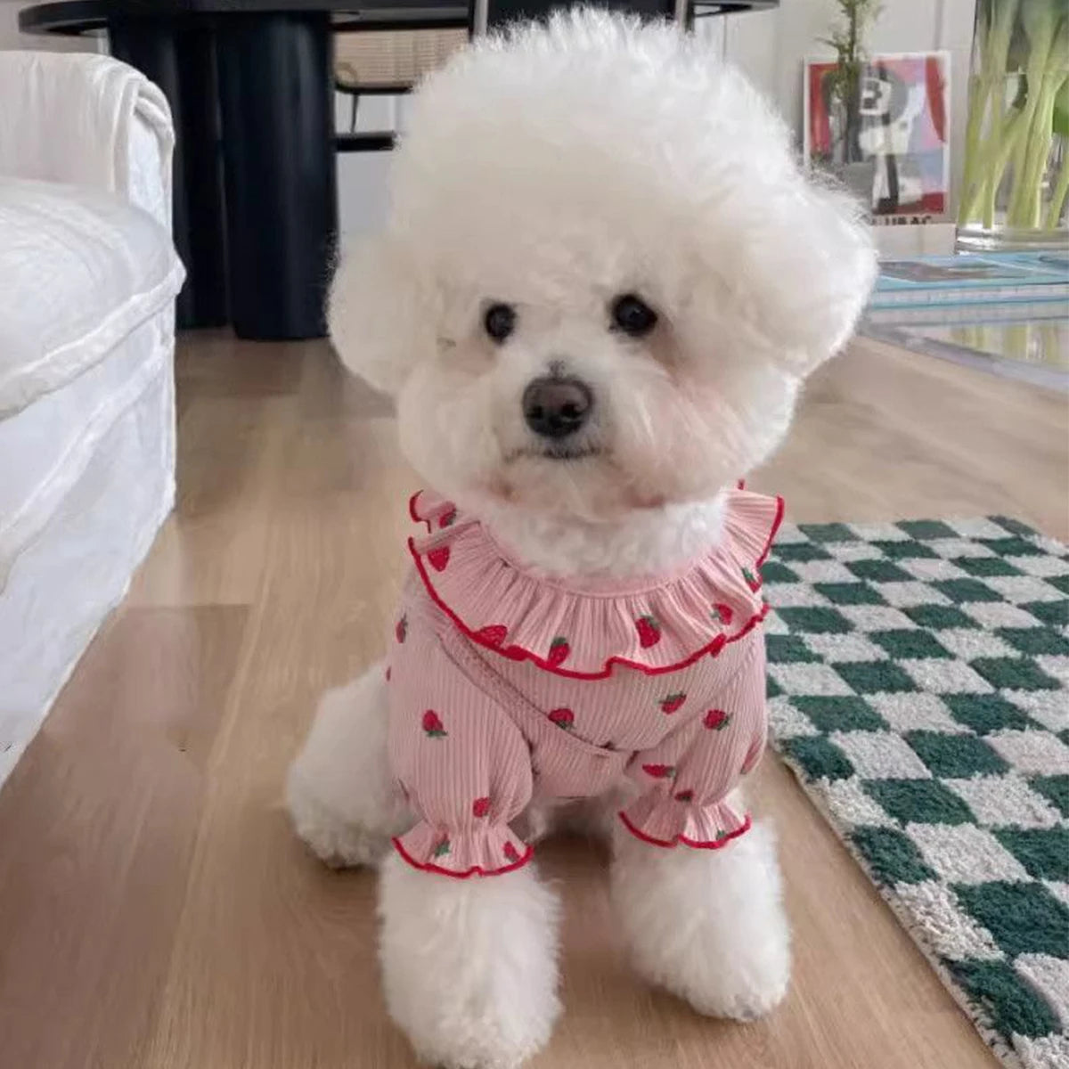 Small Dog Clothes, Breathable Summer Vest with Ruffled Collar