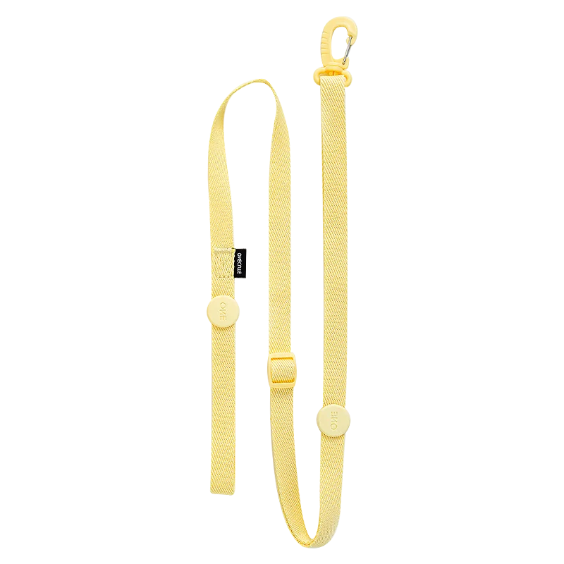 Dog Harness and Leash Set